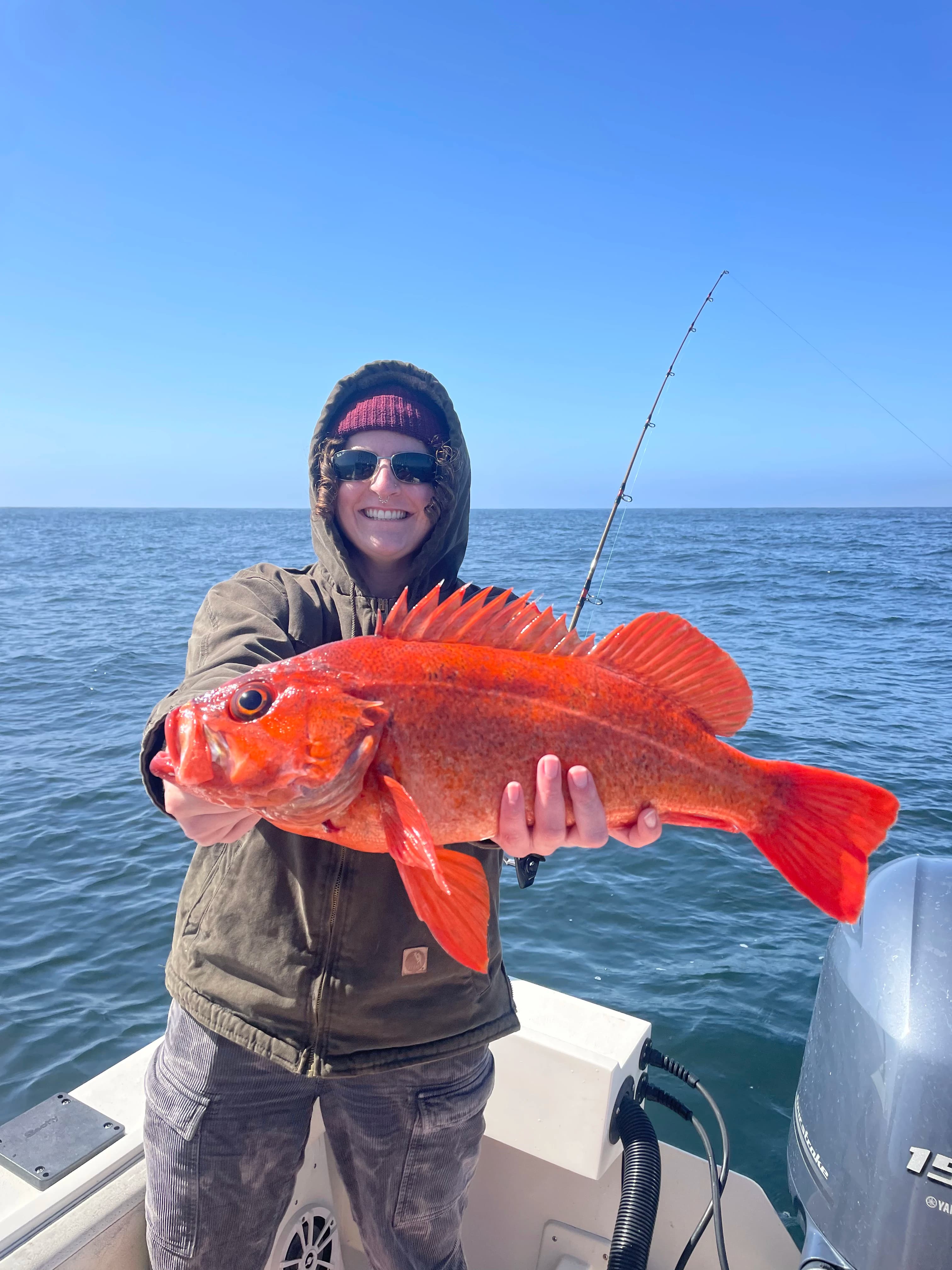 6 Hour (½ Day) Local Trip