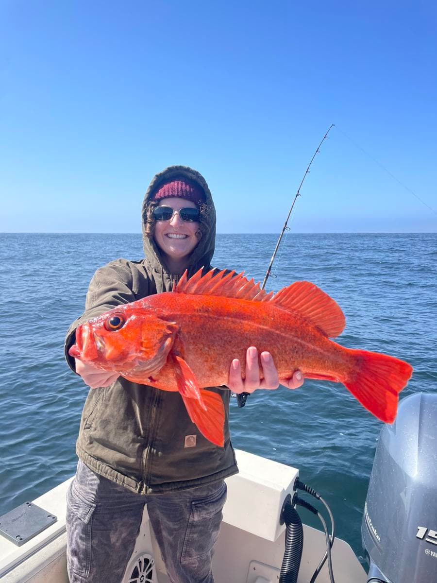 6 Hour (½ Day) Local Trip