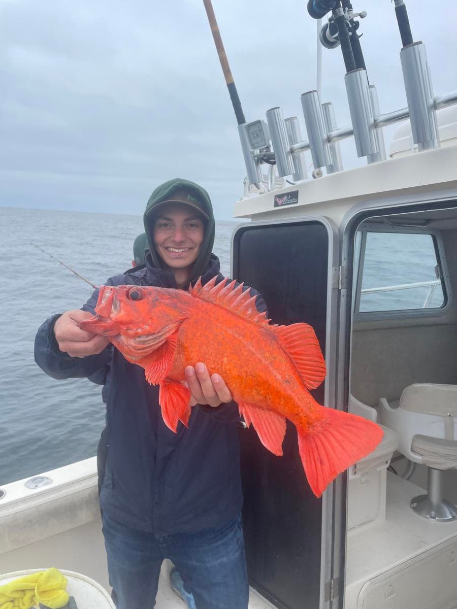 8 Hour Rockfish / Lingcod Trip