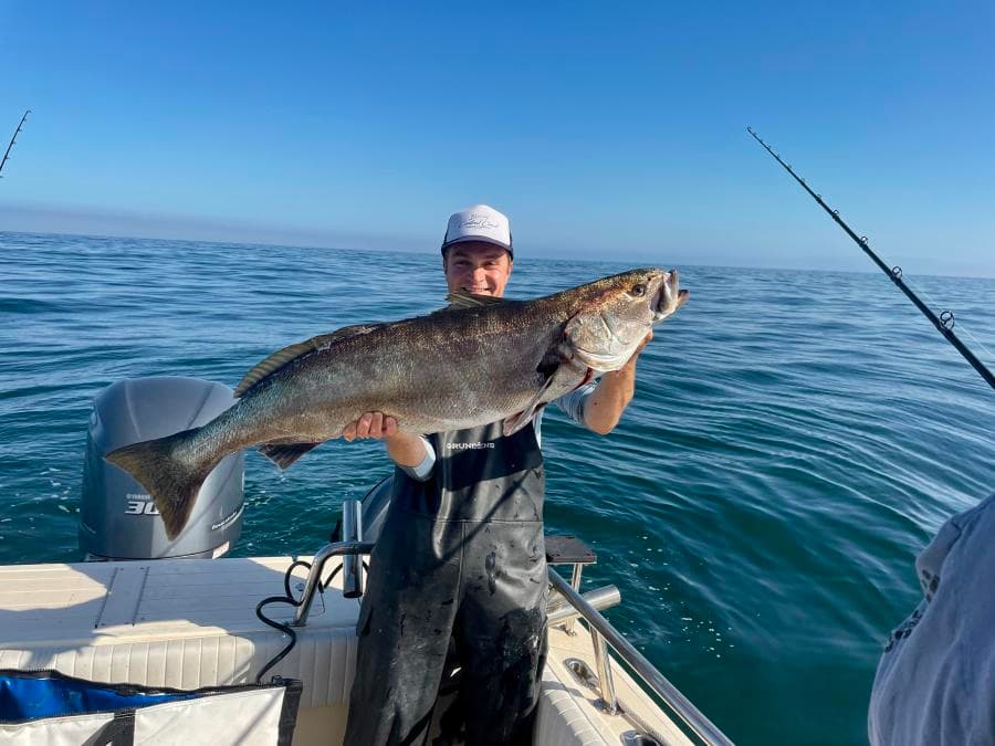 9-12 Hour Halibut / Seabass Trip