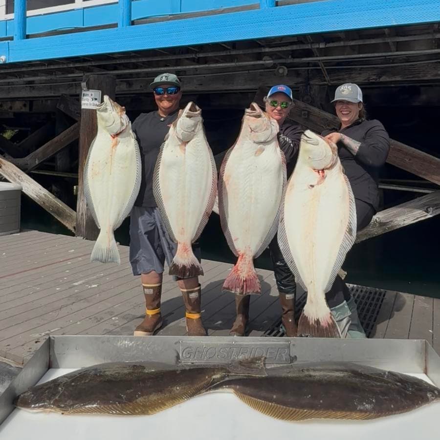 12 Hour Jurassic Park Trip