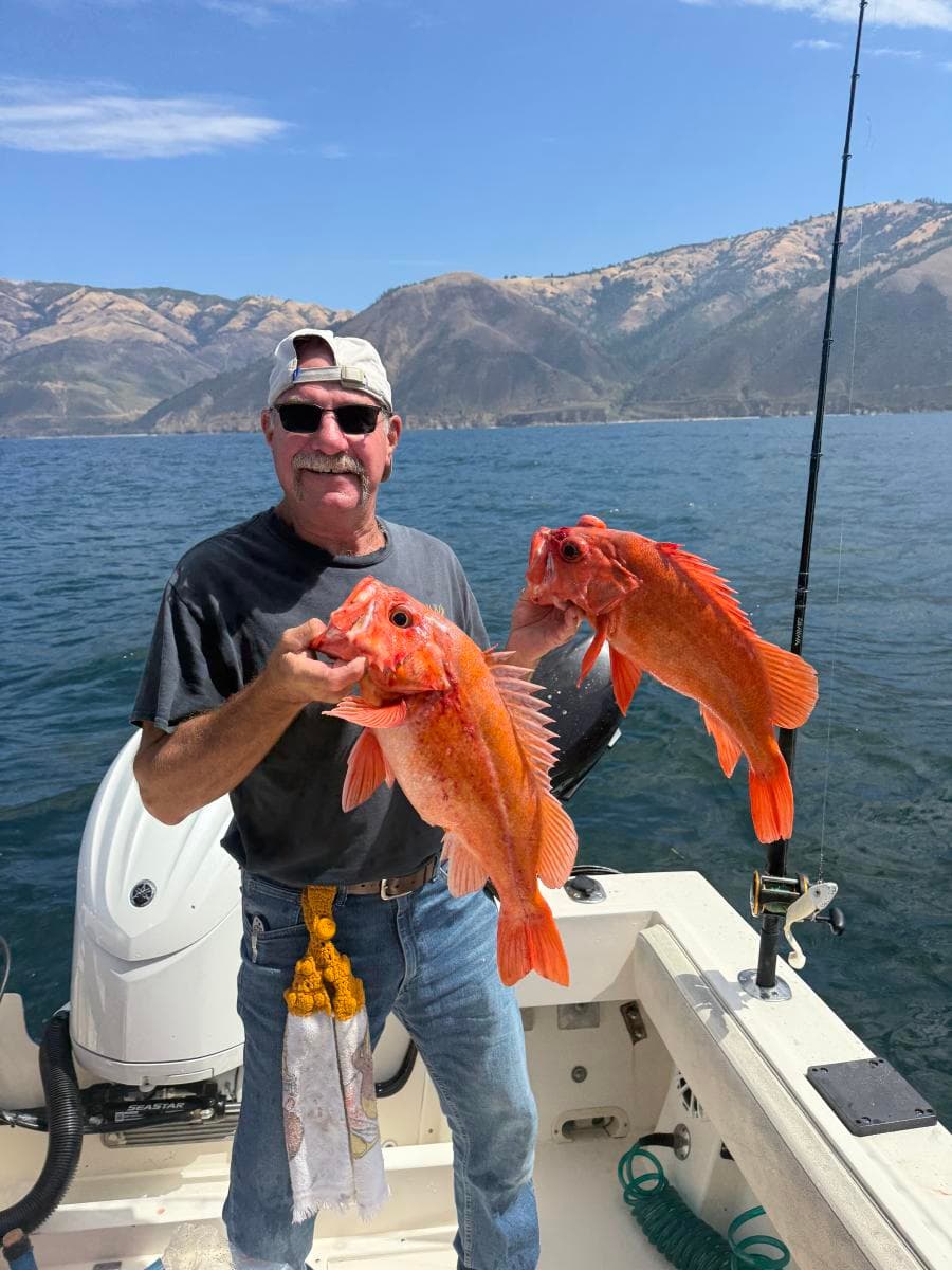 12 Hour Jurassic Park Trip