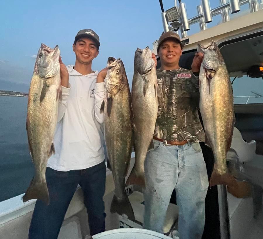 9-12 Hour Halibut / Seabass Trip