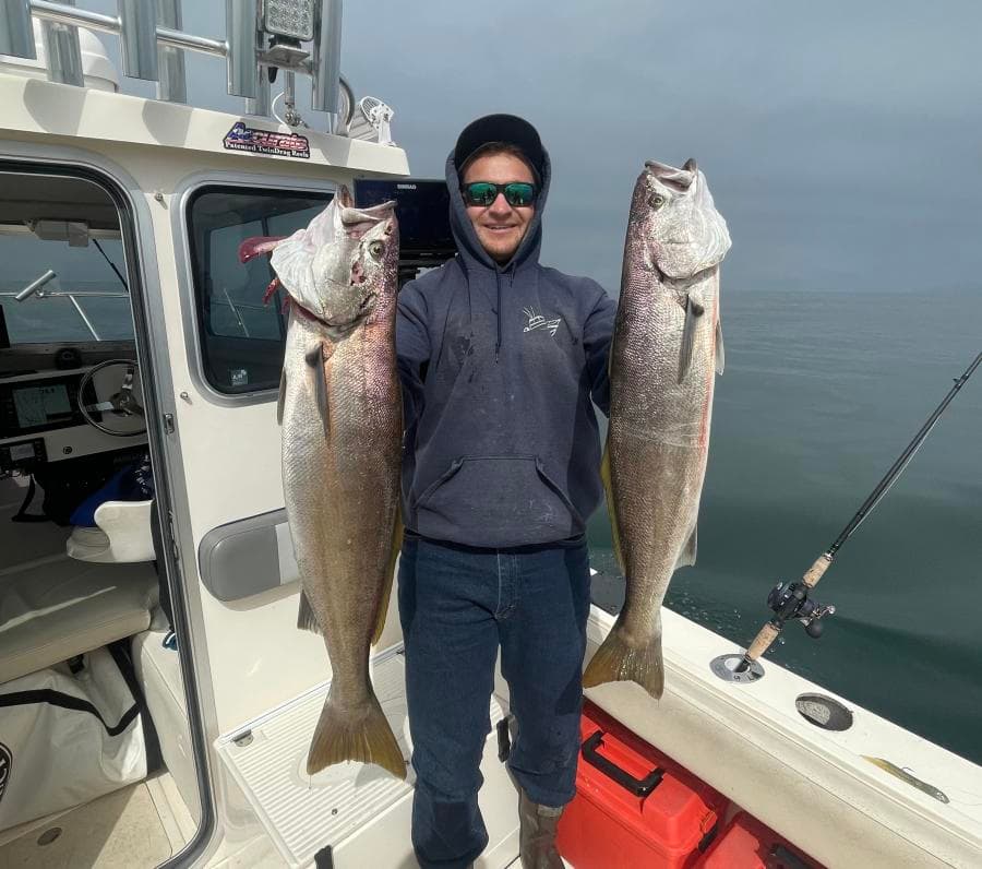 9-12 Hour Halibut / Seabass Trip