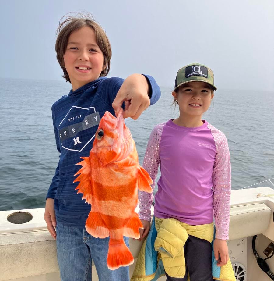 6 Hour (½ Day) Local Trip