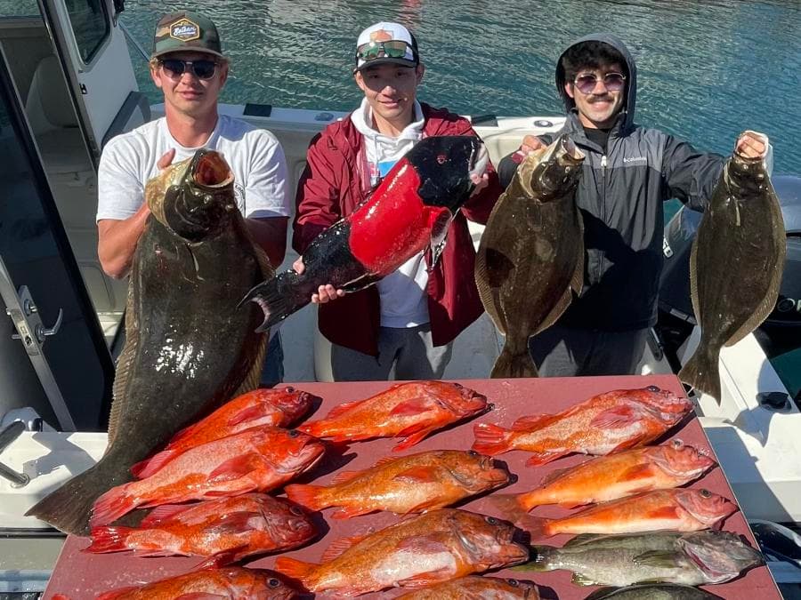 12 Hour Jurassic Park Trip