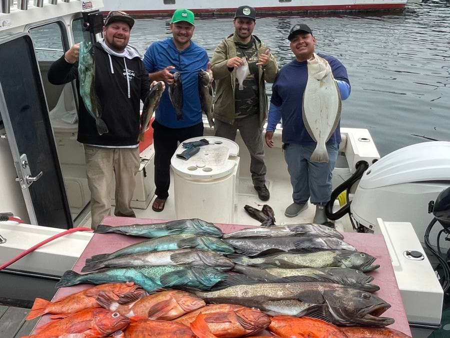 9 Hour Halibut / Cod Trip