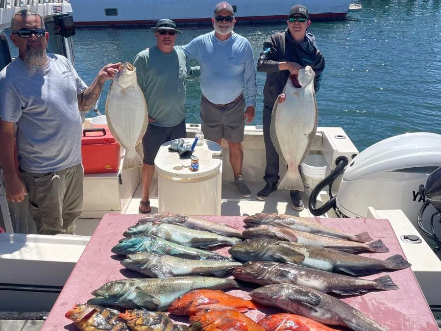 9 Hour Halibut / Cod Trip