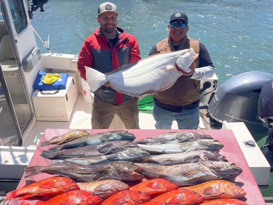 9 Hour Halibut / Cod Trip