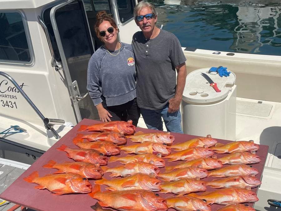 6 Hour (½ Day) Local Trip