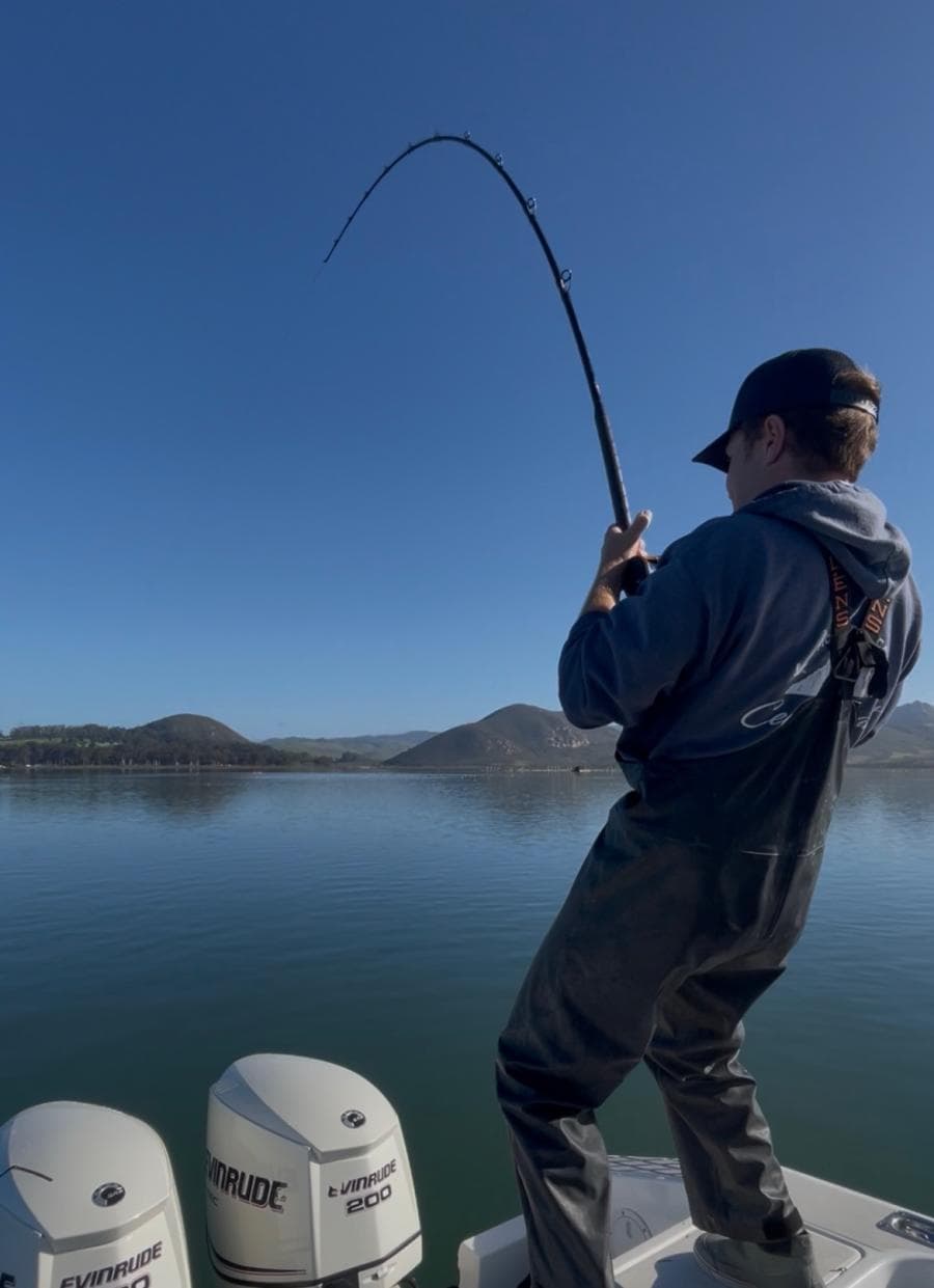 4 Hour Shark & Rays on the Bay with BBQ