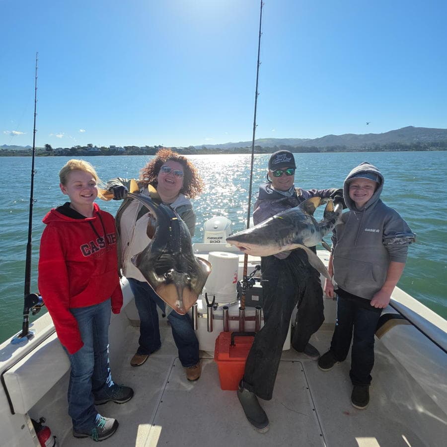 4 Hour Shark & Rays on the Bay with BBQ